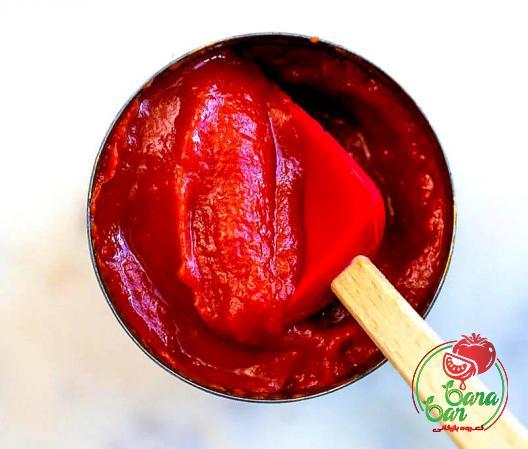  Making Tomato Paste in 8 Steps