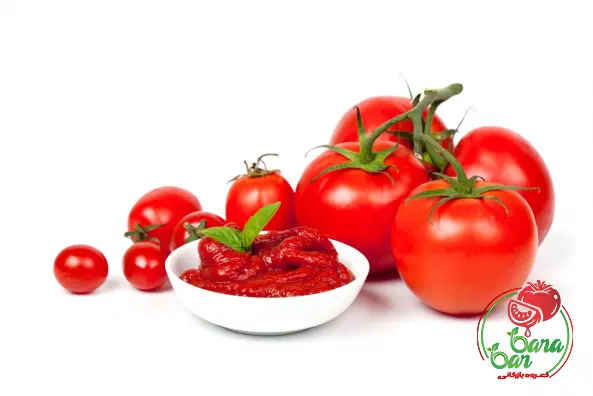 Best Tomato Paste for Sale