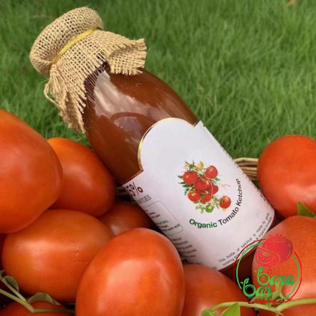 Natural Tomato Ketchup to Sell