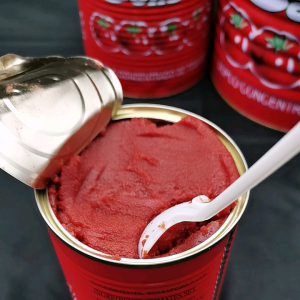 tomato paste 