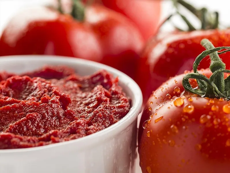 Buy tomato paste | Selling all types of tomato paste at a reasonable price