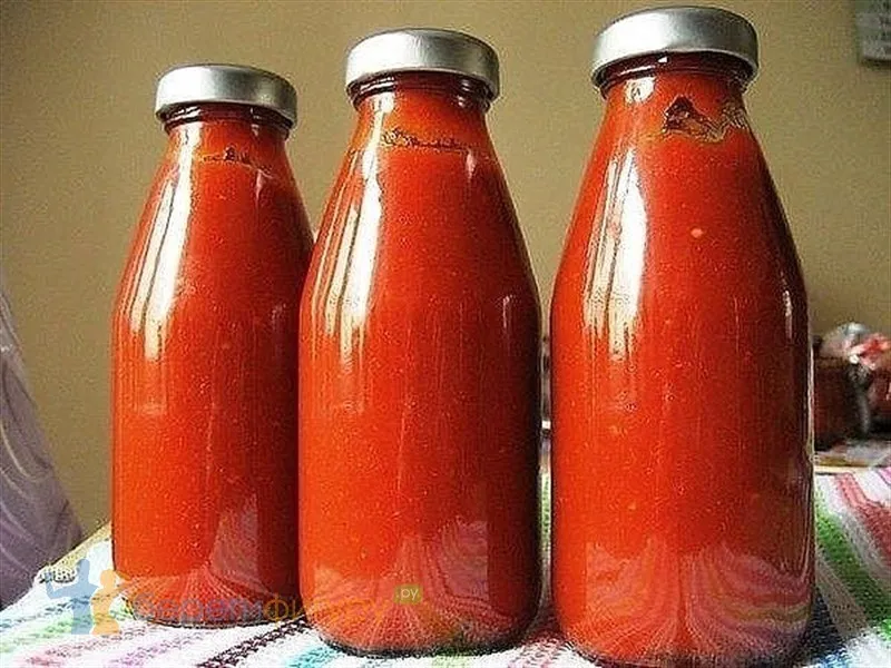 tomato sauce jar + purchase price, use, uses and properties