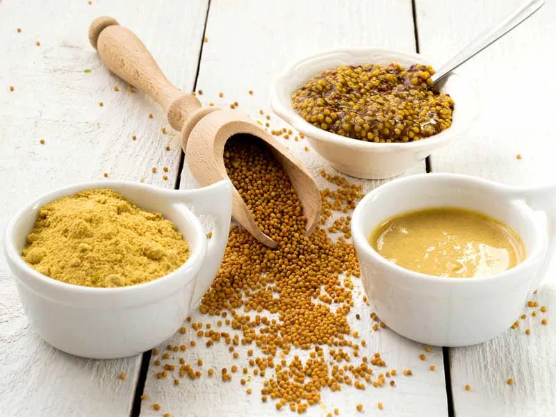 Buy mustard souce | Selling all types of mustard souce at a reasonable price