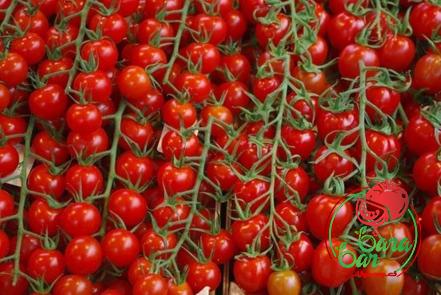 tomato paste in chinese buying guide with special conditions and exceptional price