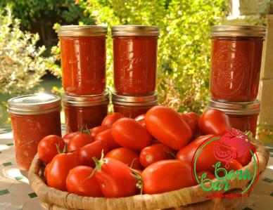 Price and purchase tomato paste dark red with complete specifications