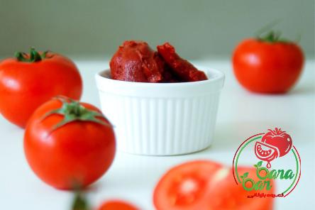 unsalted tomato paste with complete explanations and familiarization