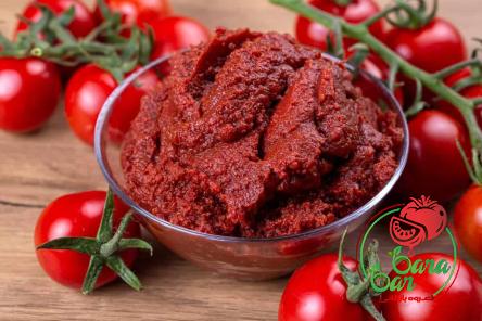 italian sausage pasta tomato paste buying guide with special conditions and exceptional price