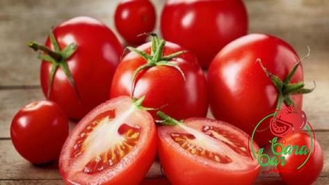 tomato paste in spanish buying guide with special conditions and exceptional price