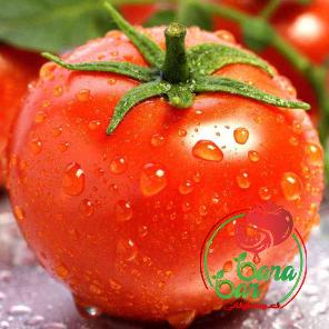 pure tomato paste with complete explanations and familiarization