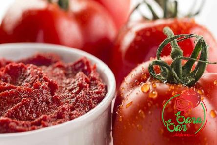 food tomato paste buying guide with special conditions and exceptional price