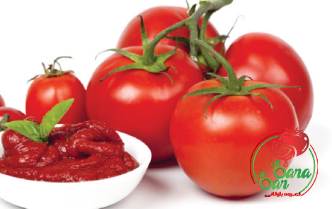 organic tomato paste without citric acid price list wholesale and economical