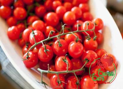 Learning to buy an top fresh tomato paste from zero to one hundred