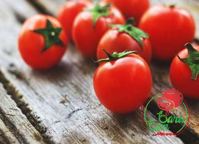 best tomato paste in nigeria with complete explanations and familiarization