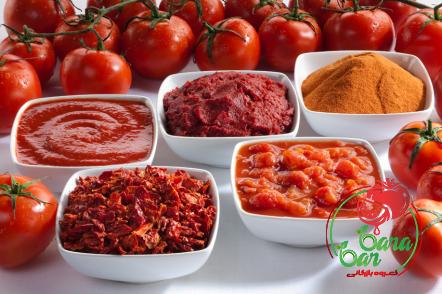 Price and purchase canning homemade tomato paste with complete specifications