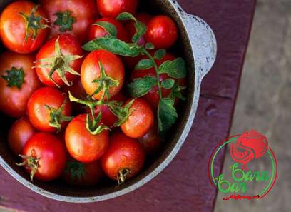 Learning to buy an tomato paste for baby from zero to one hundred