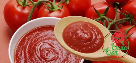 italian sun dried tomato paste buying guide with special conditions and exceptional price