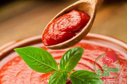 indian tomato paste buying guide with special conditions and exceptional price