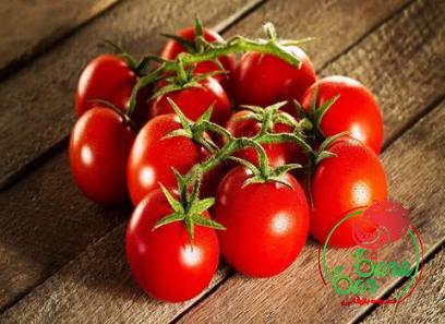 Learning to buy an fresh tomato paste from zero to one hundred