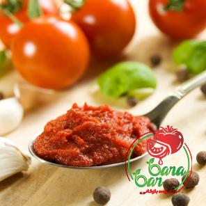 tomato paste in español buying guide with special conditions and exceptional price