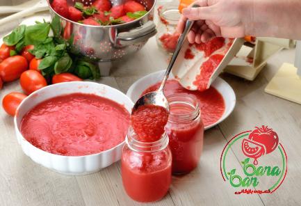 cento organic tomato paste price list wholesale and economical