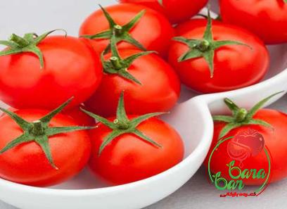 turkey chili tomato paste with complete explanations and familiarization