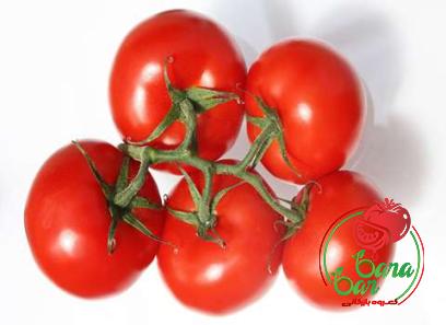 umami tomato paste with complete explanations and familiarization