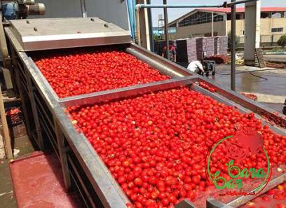 ketchup tomato paste with complete explanations and familiarization