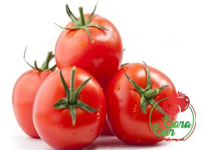 best tasting tomato paste with complete explanations and familiarization