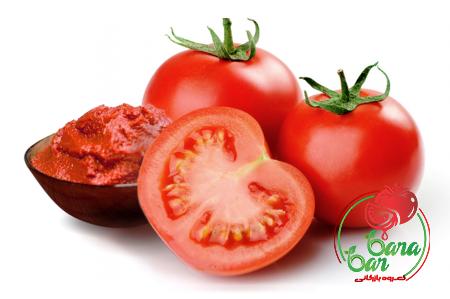 Price and purchase red chili tomato paste with complete specifications