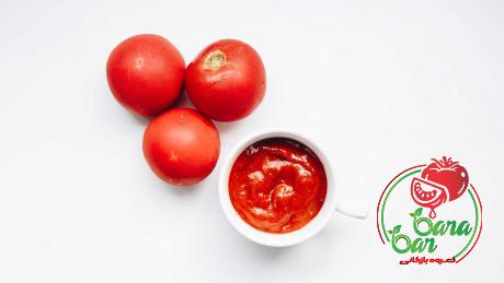 1 can tomato paste specifications and how to buy in bulk