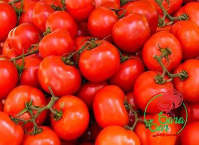 tasty tomato paste with complete explanations and familiarization