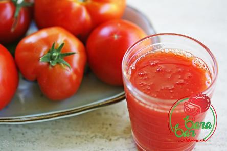 Bulk purchase of no salt added tomato paste with the best conditions